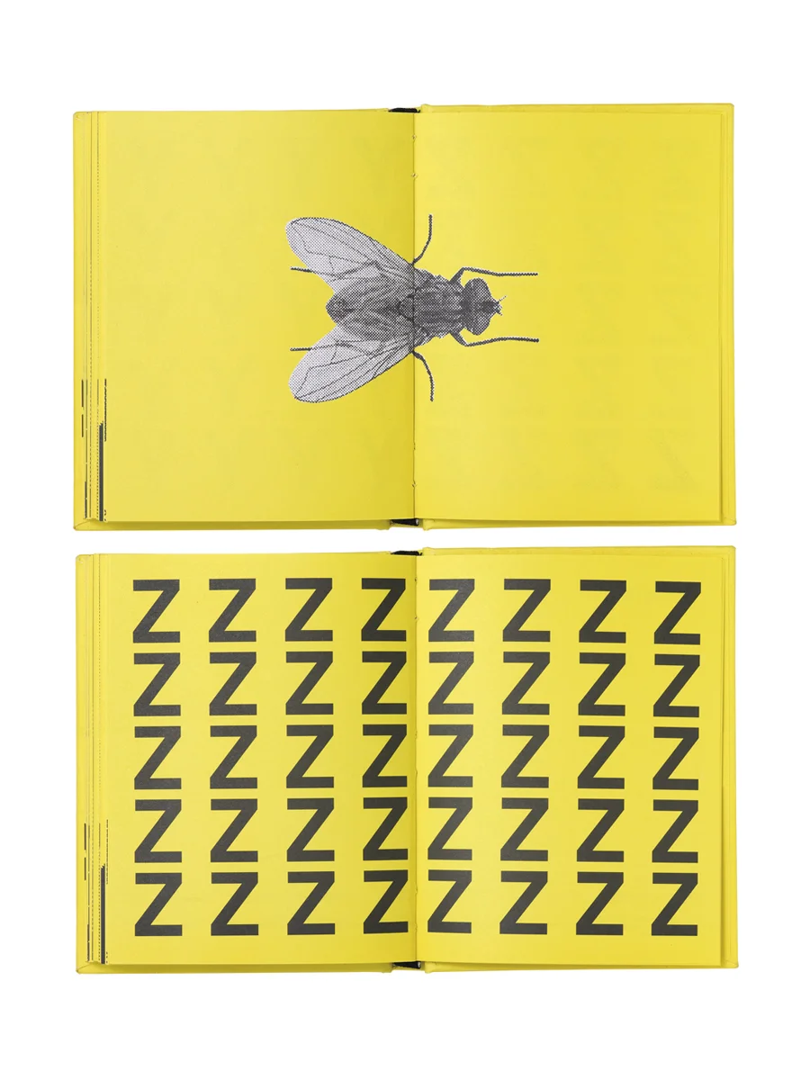Abecedario Fonético — 7