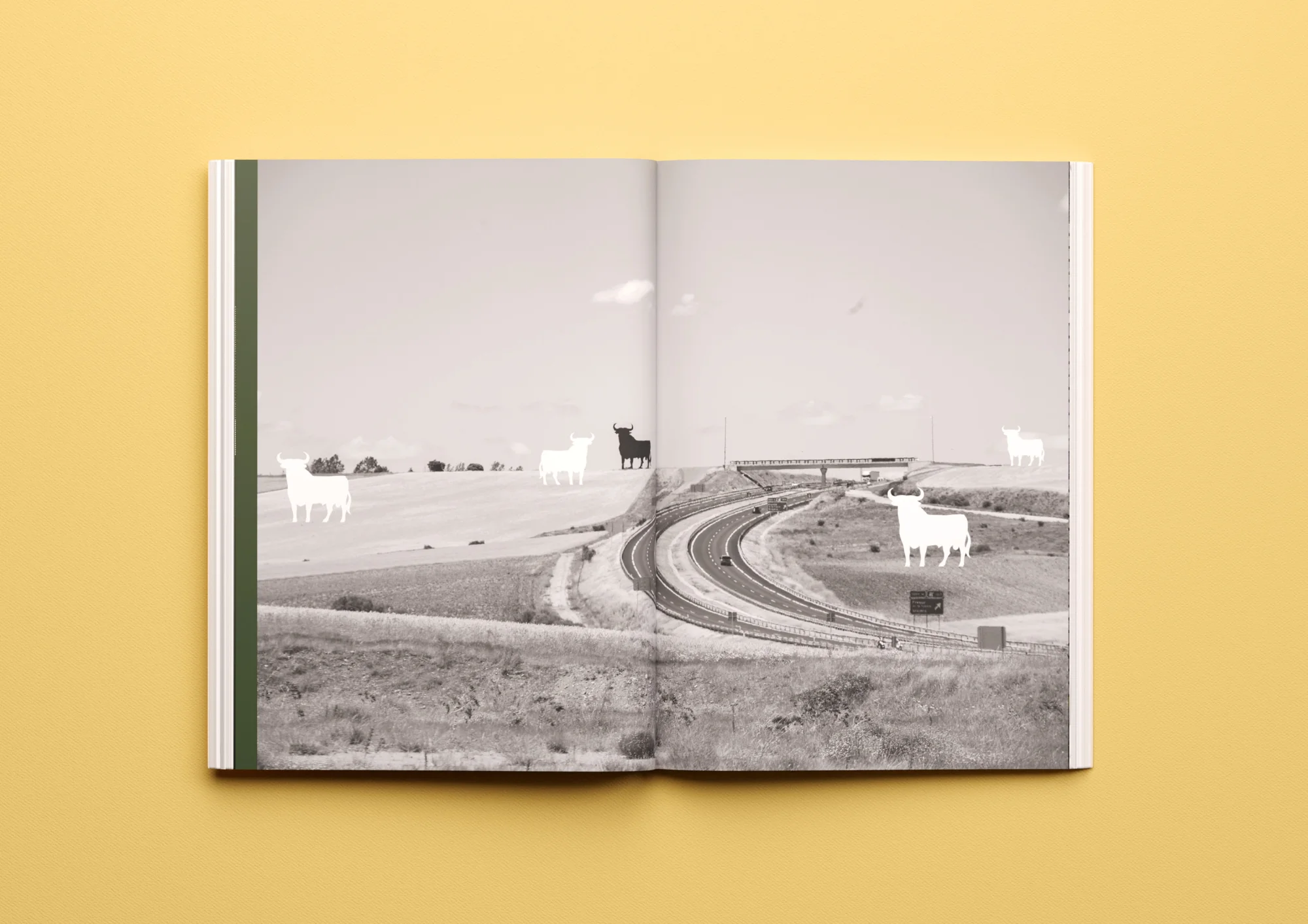 Cotec — 10