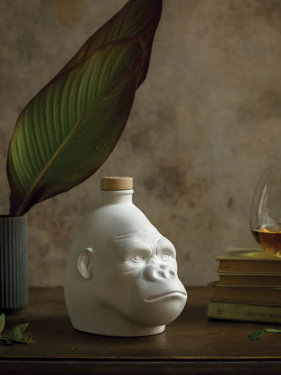 Kong — 6