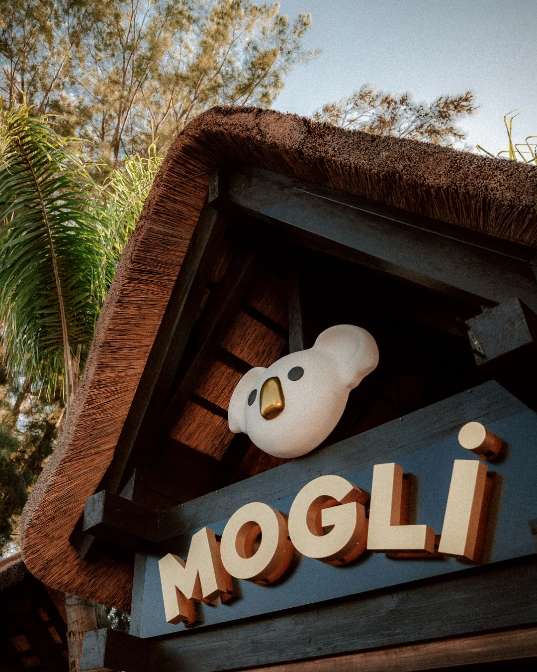 Mogli — 8